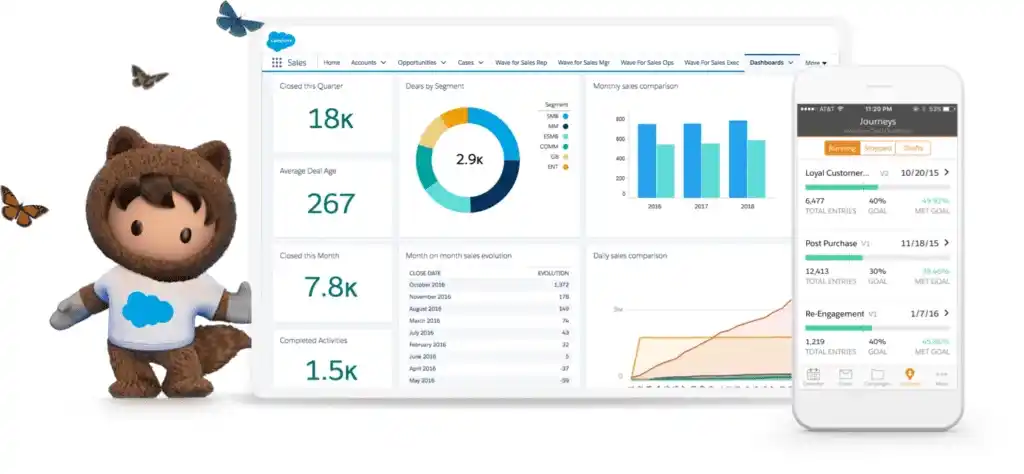 salesforce implementation