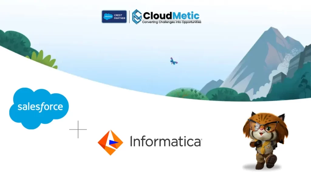 salesforce informatica acquisition